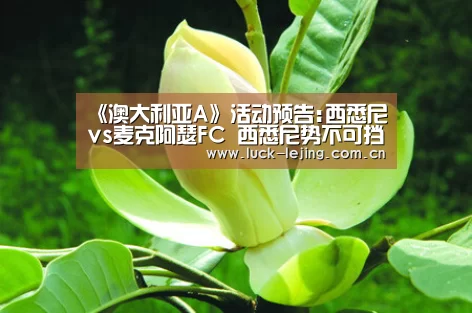 《澳大利亚A》活动预告:西悉尼vs麦克阿瑟FC 西悉尼势不可挡‘乐竟娱乐平台下载’(图1) 乐竟体育