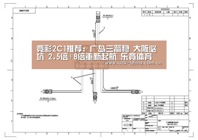竞彩2C1推荐:广岛三箭稳 大阪必坑 2.5倍+8倍重新起航_乐竟体育(图1) 乐竟体育