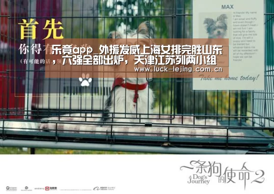 乐竟app_外援发威上海女排完胜山东，六强全部出炉，天津江苏列两小组头名